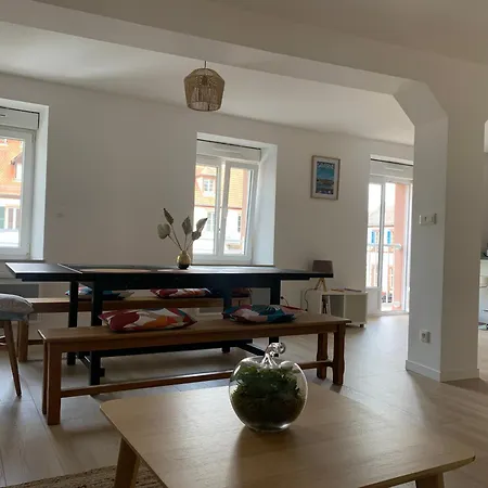 Apartment Les Rives Du Chateau, 90m2, Vue Sur Le Canal Saverne