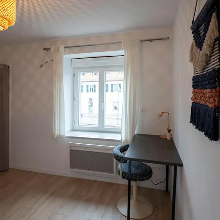 Les Rives Du Chateau, 90m2, Vue Sur Le Canal Saverne